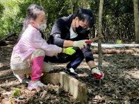 곡성군미래교육재단, 제월섬 나무집짓기 워크숍 성료