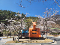 봉화군, 청량산캠핑장 내달 1일 개장