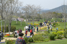 순천시, 관광객유치 인센티브 소규모 지원 확대