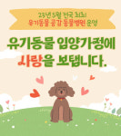 경남도 ‘유기동물 공감동물병원’ 지정사업…창원서 전국 최초 시행