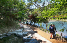 전남도, 진도 남망산웰빙숲길 등 걷고 싶은 길 5곳 선정