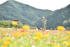 청송군, 산소카페 청송정원 걷기 힐링 명소로 거듭나