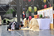 청송군, 청송사과 찬란한 금빛향연 1일 개막