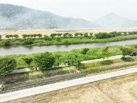 보성군, 천년의 분재거리 조성 추진