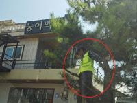 장수군, 가로수 정비 작업 안전불감증 심각