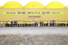 신안군, 팔금면 퍼플 바나나농장 개소