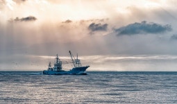 수협, 불편 줄인 구명조끼 연말까지 전 어선에 보급