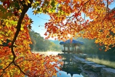 정읍 내장산국립공원, 한국관광공사 관광AI 실증지 선정