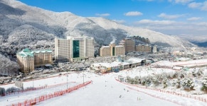비발디파크, 5일 스키장·스노위랜드 동시 개장···신규 콘텐츠 강화