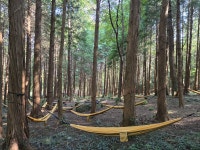 해남군, 편백숲 치유 달보드레농원 우수치유농업시설 인증농장 선정