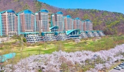 소노인터내셔널, 봄꽃 시즌 겨냥 소노 스프링 에디션 출시 