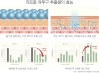 페도라코스메틱, 윤곽&바디라인 관리 제품 할인 판매 진행