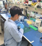 셀아이콘랩, 효능 우수한 항바이러스 펩타이드 개발