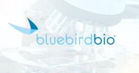 블루버드 진테글로 전세계 최고가 치료제 등극