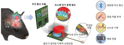 칩 하나로 생쥐 조종...뇌신호 측정이 가능한 무선 브레인칩 개발 성공