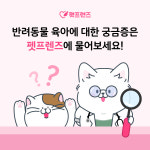 펫프렌즈, 누적 상담건수 100만건 돌파… 펫 공동육아 역할 톡톡