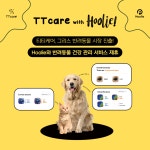 에이아이포펫, 반려동물 보험사 훌리(Hoolie)와 함께 그리스 시장 진출