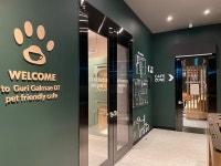 스타벅스, 국내 첫 반려동물 동반 매장 구리갈매DT점 오픈