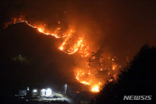 강원도 산불도 안 꺼졌는데...경북 경주·영주서 또 산불