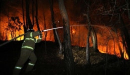 경북 영주서도 산불...4시간째 진화 중