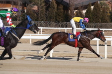 스포츠서울배 우승마 승부사… 삼관마 향한 첫 걸음 떼다 