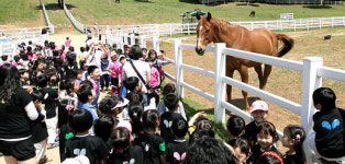 한국마사회, 지역 명소 제주·원당목장 대국민 개방 재개