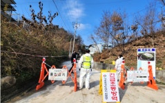 원주서 AI 잇단 확진... 이글벳 제일바이오 대한뉴팜 중앙백신 주목