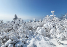 [속보] 강원 아침 강추위…설악산 최저 -17.6도