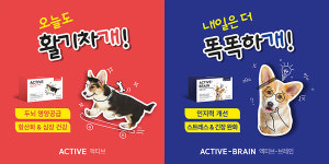 태전 오엔케이, 반려견 두뇌건강 영양제 액티브 2종 출시