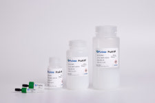 아미코젠 바이오의약품 레진 글로벌 경쟁사 품질 경쟁력 확보