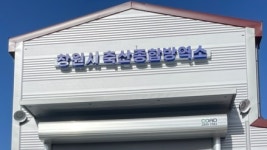 창원시, 럼피스킨병 방역대 이동제한 전면 해제...무슨 이슈 있나