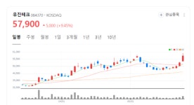 유진테크 주가 훨훨... 일반 D램 수익성 회복 본격화 기대