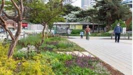 송파구 잠실나루역 교통섬에 매력정원...도시경관 제고 및 힐링 선사