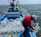 어린 꽃게, 푸른 바다로...군산·부안·고창 해역에 20만 마리 방류