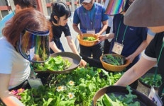 도시 속 힐링 공간... 인천에 치유농업센터 들어선다