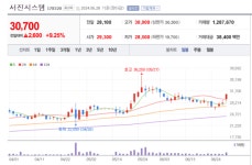 ESS 부품 전문업체 수주 급증에...서진시스템 주가 폭등랠리