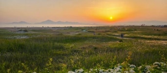 부산시 다대포 낙조와 음악이 어우러진 힐링 축제 보러 오세요