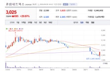 휴림네트웍스 주가 폭등랠리... 발행 주식 총수 5배로 늘려보니