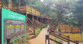 양주 신암저수지 숲속야영장, 개장 한 달 만에 인기 폭발…예약률 100% 돌파