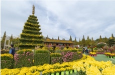 익산 천만송이 국화축제 성황리 마무리…74만 명 방문