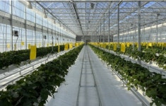 영동군, 스마트 농업 육성 박차… 3000㎡ 규모 실습농장 준공