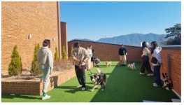 창원시, 반려견 행동교정 돕는다…펫-빌리지 프로그램 운영