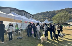 반려동물과 쉬다 가세요…경남 합천 멍스테이 한 달 600명 방문 인기 몰이