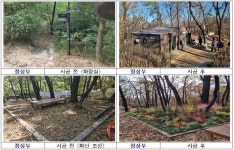 노원구, 새해 맞아 초안산 등산로 정비 완료