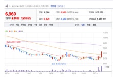 피노 주가 파죽지세...엘앤에프와 무슨 일이?