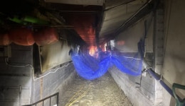 여주  오금동 소재 돼지 농장서 불…170마리 폐사