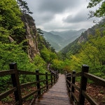 [내일(16일) 황매산 날씨] 흐림 지속, 오후부터 본격적인 비 시작