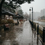 [2일(월) 전주·전북 날씨 예보] 낮부터 비 시작…남부 먼저, 오후엔 전역 확대
