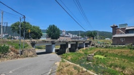 (속보)화순천 굴다리 사망사건 유족 청원, 국회 법사위 회부