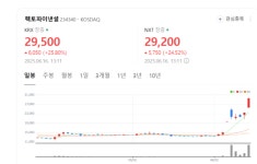 지역화폐 확대 시동… 헥토파이낸셜, 수혜 기대에 주가 파죽지세